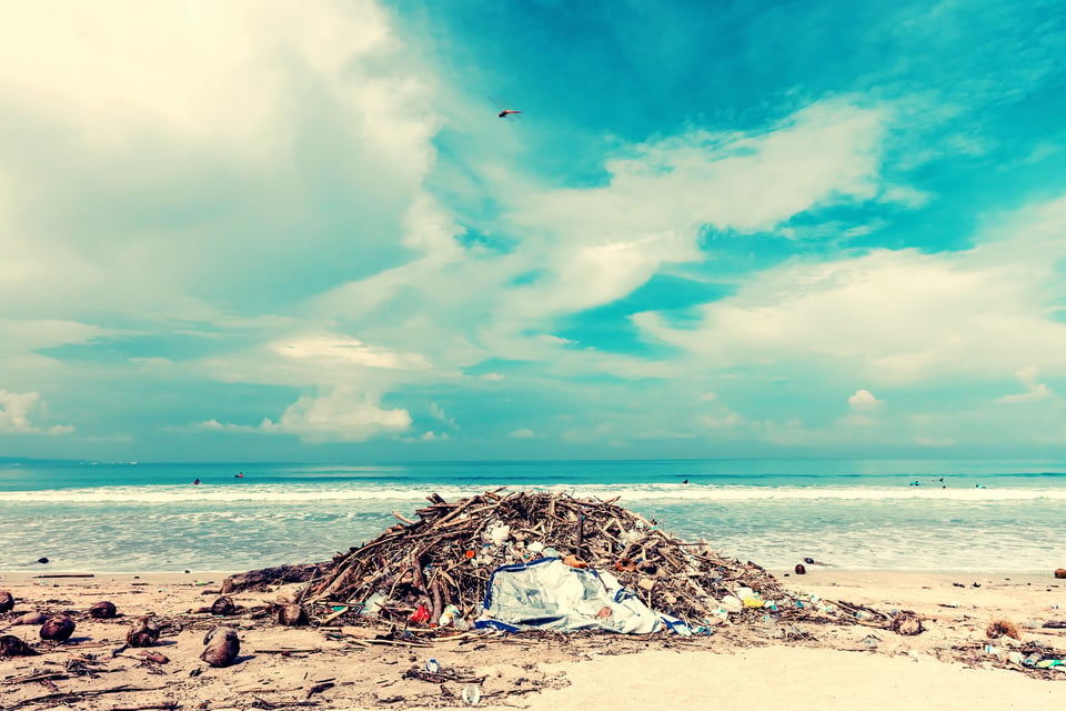 The Oceans Are Drowning In Trash And How You Can Save Them