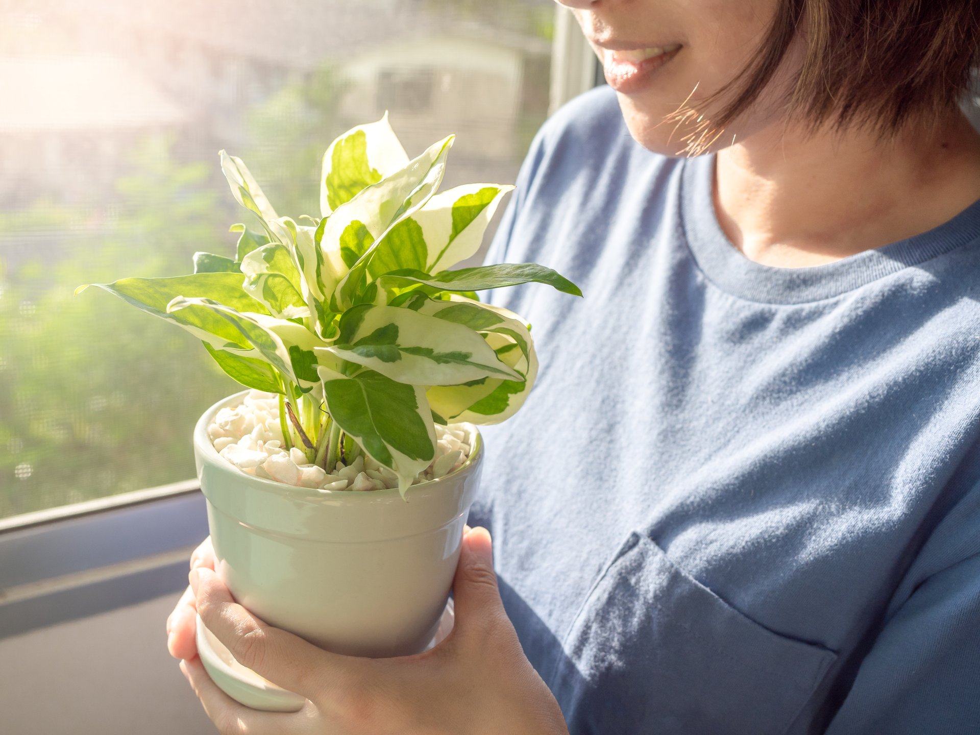 How to be a successful plant parent