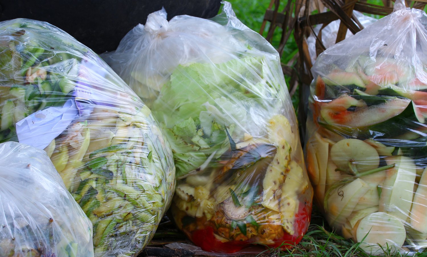 Understanding Food Waste in Singapore What Can We Do to Help?